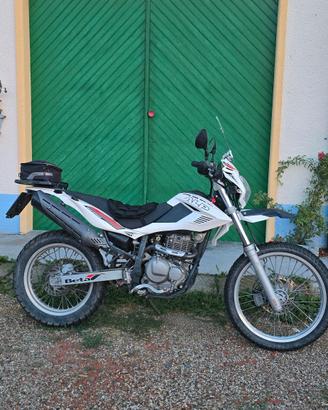 Beta alp 4.0