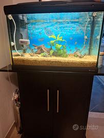 Acquario 60 litri
