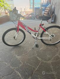 Bicicletta