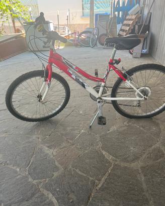 Bicicletta