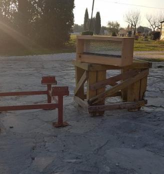 Melari api, fondi mobili varroa, chiusure arnia