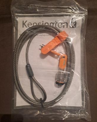 cavo antifurto per pc 