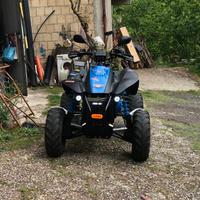 Quad Polaris