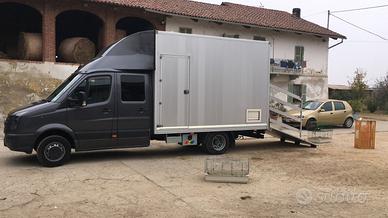 Crafter trasporto animali