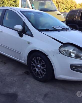 Fiat punto evo anno 2011