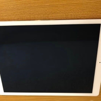 Apple Ipad pro 12,9 zoll, cellular +wifi, 128 GB.