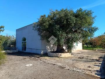 VILLA SINGOLA A POLIGNANO A MARE