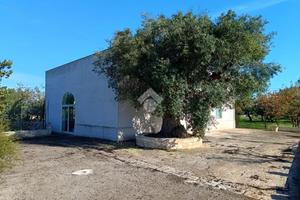VILLA SINGOLA A POLIGNANO A MARE
