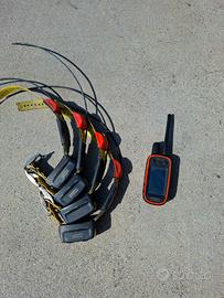 PALMARE COLLARI GARMIN
