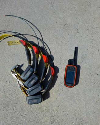 PALMARE COLLARI GARMIN