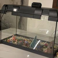 Acquario askoll box30 litri