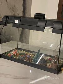 Acquario askoll box30 litri