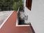 Immagine 20