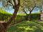 Immagine 22