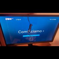 sky Roku