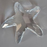 Stella di mare Swarovski originale