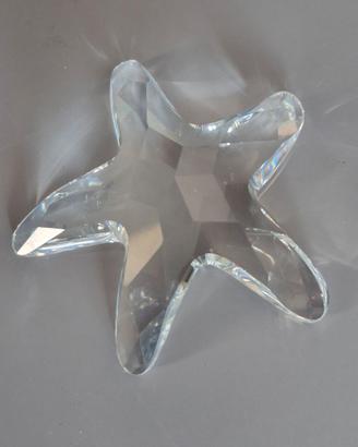 Stella di mare Swarovski originale