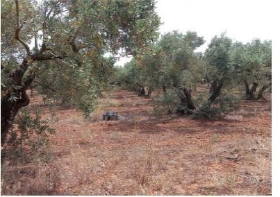 Tribunale di Marsala - RG 259/2013 Terreno in asta