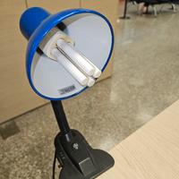 lampada da tavolo o mensola con pinza