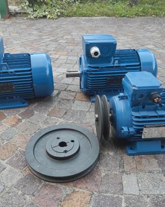 Motori elettrici