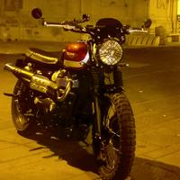 Triumph street scrambler 900
