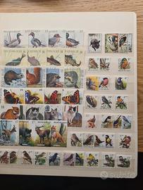 Belgio animali