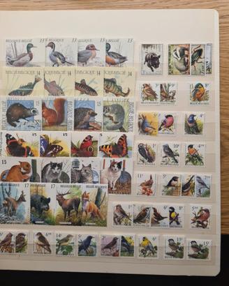 Belgio animali