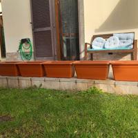 Cinque vasi in plastica