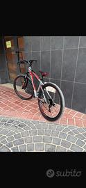 bicicletta