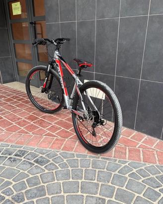 bicicletta