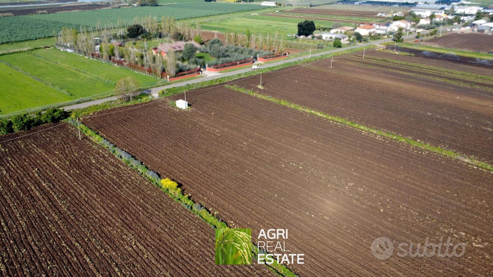 Terreno agricolo 4 ettari fronte strada con pozzo - Vista 3