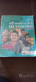 All'ombra del Sicomoro