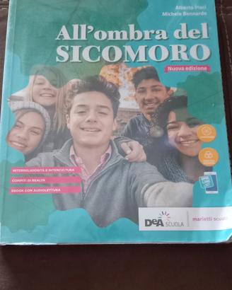 All'ombra del Sicomoro