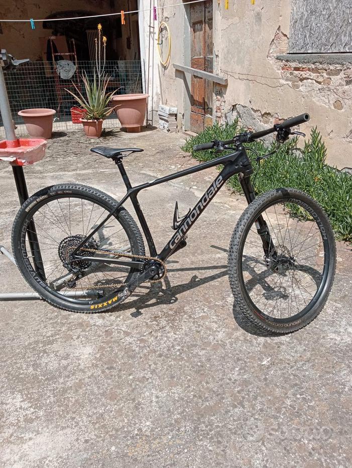 Mountain Bike Daccordi Bici San Miniato Mountain Bike Vendita In