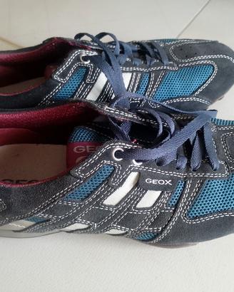 Scarpa GEOX sport 