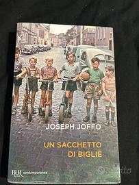 un sacchetto di biglie di joseph joffo