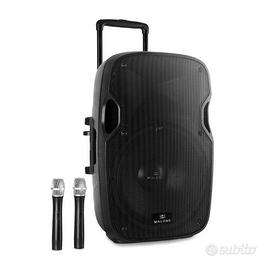 Cassa Grande 300 w Malone con 2 microfoni