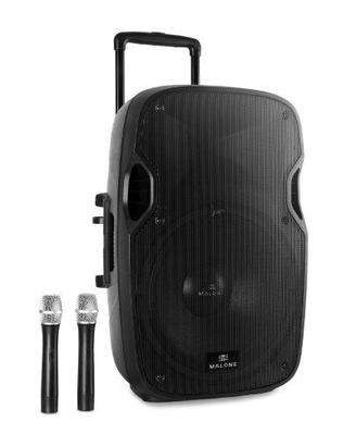 Cassa Grande 300 w Malone con 2 microfoni