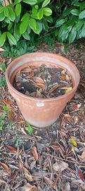 Vaso in terracotta 