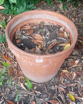Vaso in terracotta 