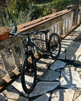 bicicletta mtb