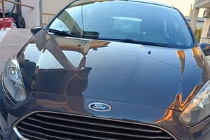 Ford Fiesta Gpl benzina 2014 trattabile 