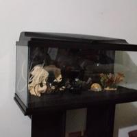 Acquario da 80 lt piu mobile