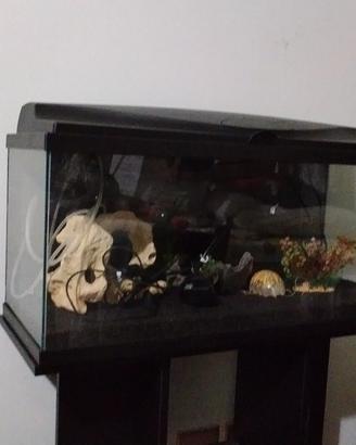 Acquario da 80 lt piu mobile