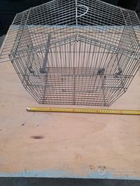 gabbietta per uccelli