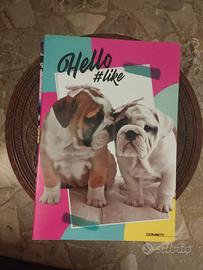 Quaderni a righe per elementari 