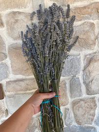 Mazzo Lavanda Essiccata Naturale Profumata