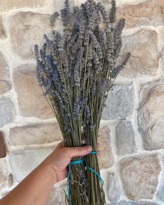 Mazzo Lavanda Essiccata Naturale Profumata