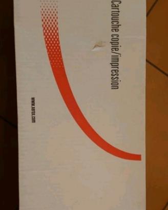 Cartuccia di Stampa