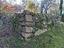 Immagine 22